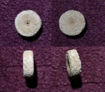 Cyclocrinus из Марково