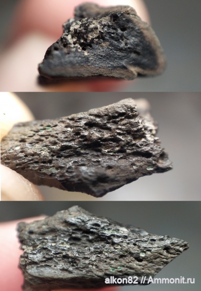 Капотня