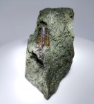 Зуб ихтиозавра из зоны фульгенс