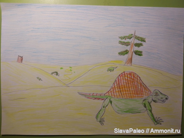 Dimetrodon, Dimetrodon milleri
