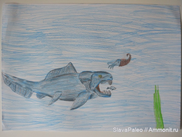 Dunkleosteus, Dunkleosteus terrelli
