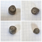 Cyclocrinus insignis c признаком ветвления
