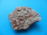 Нерукотворная картина