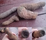 Что это? Фульгуриты?