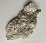 Archaeocidaris rossica