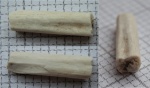 Фрагмент шипа акантоды Lodeacanthus?