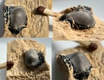 Deltodus (?)