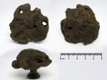 Губка №5 Plocoscyphia?