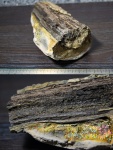 Окаменелая древесина с марказитом