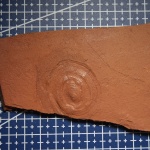 Гастропода Berlieria maeotis