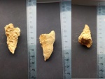 Обрастание одиночного Rugosa другим кораллом Aulopora