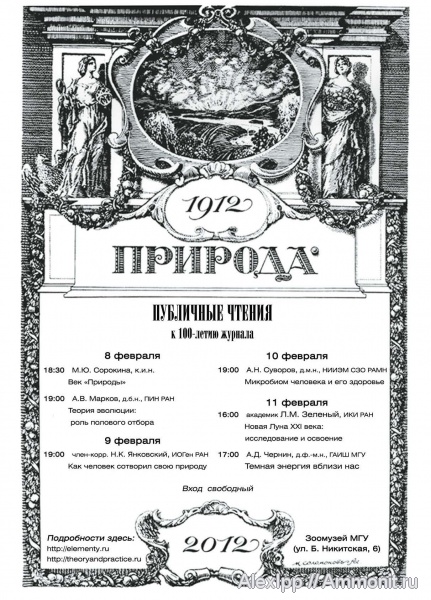 разное