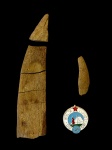 Плавники бесчелюстных
