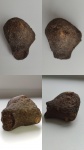 Кость