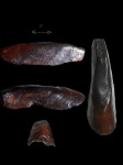 Ptyctodus