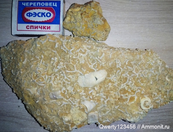 Находки