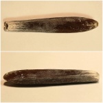 Белемнит Gonioteuthis lundgreni