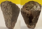 Губка