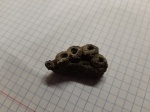 Губка