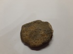 Колониальный коралл