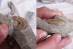 На определение