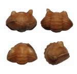 Кальцитовый Asaphus