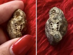 Маленький скелет (?)