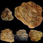 Интересный Chaetetes sp.