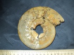 Аммонит Indosphinctes vischniakoffi