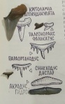 Мои зубы и книга Худякова