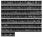 2000 конодонтов