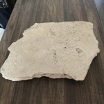 Дно моря