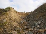фрагмент нижнеготеривского кораллового рифа