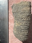 Рисунок- рельеф стебля лилии из Судака