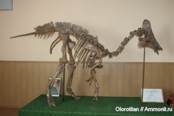 Благовещенск 2008