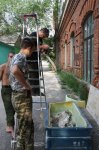 Паскаль Годфруа фотографирует таз и крестец олоротитана