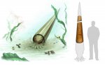 Rayonnoceras из Калуги