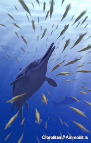 ихтиозавры, Paraophthalmosaurus, Ophthalmosauridae