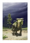 Kosmoceratops richardsoni