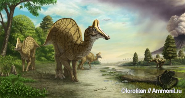 динозавры, мел, гадрозавры, Благовещенск, Приамурье, Cretaceous