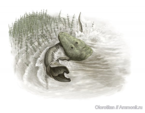 Parotosuchus, Garjainia