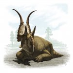 Diabloceratops eatoni