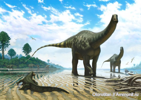 Dsungaripteridae, Demandasaurus, Goniopholis, Salasemys