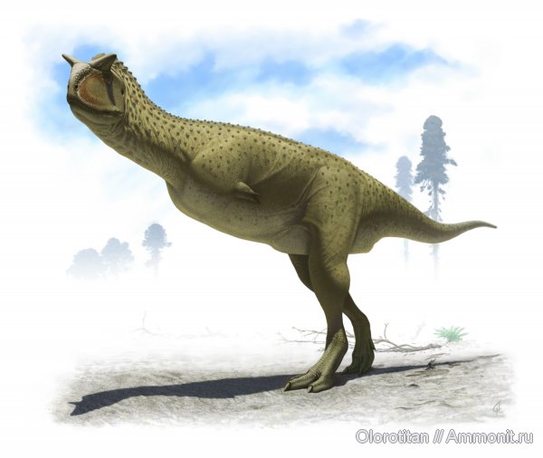 Carnotaurus