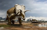 Medusaceratops lokii