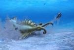 Anomalocaris