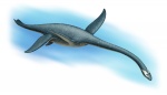Plesiosaurus