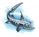 Ischiodus