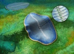 Dickinsonia