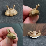 Asaphus kowalewskii